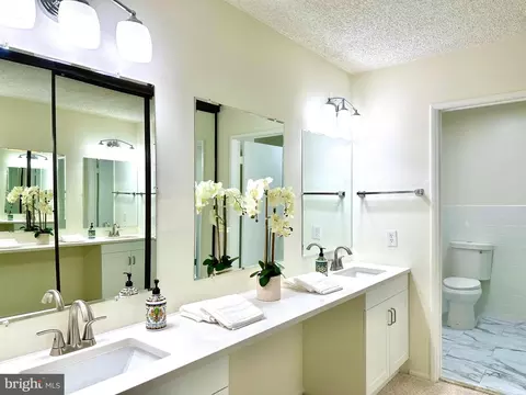 Bath - 3511 Forest Edge Dr #17-1C, Silver Spring, MD 20906 photo 1 of 6