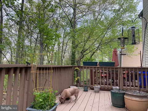 14459 Long Green Dr, Silver Spring, MD 20906 photo 11