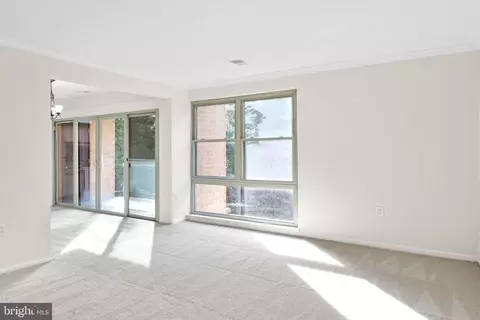 2204 Greenery Ln #301-21, Silver Spring, MD 20906 photo 4