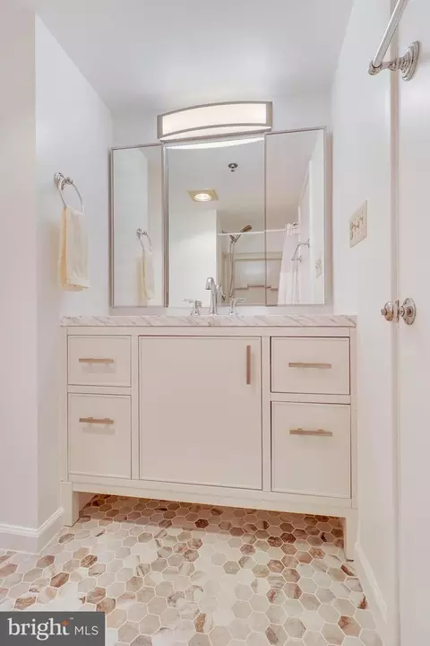 Bath - 3330 N Leisure World Blvd #412, Silver Spring, MD 20906 photo 9 of 9