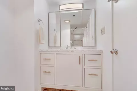 Bath - 3330 N Leisure World Blvd #412, Silver Spring, MD 20906 photo 1 of 9