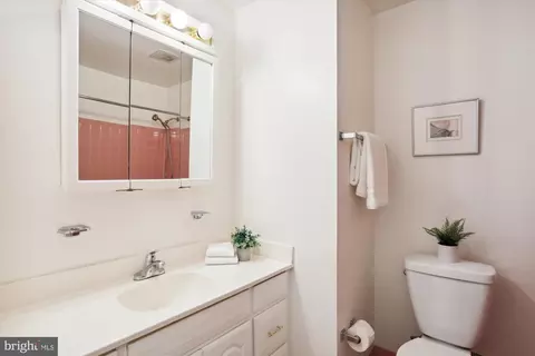13015 Tamarack Rd, Silver Spring, MD 20904 photo 8