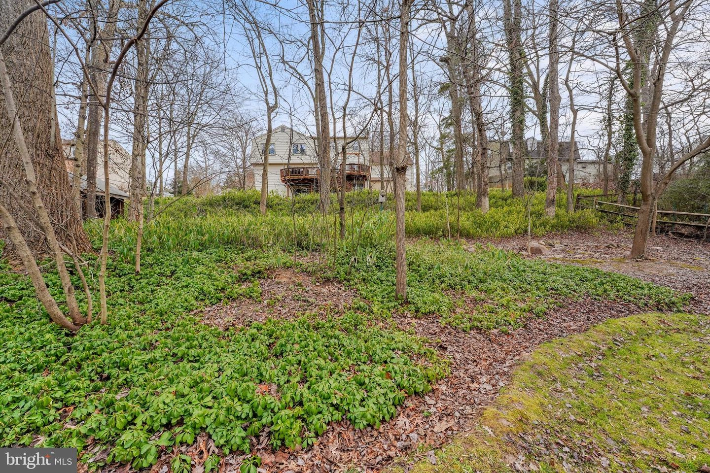 15205 Watergate Rd, Silver Spring, MD 20905 photo 45