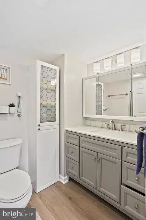 Bath - 15100 Interlachen Dr #4-301, Silver Spring, MD 20906 photo 2 of 6