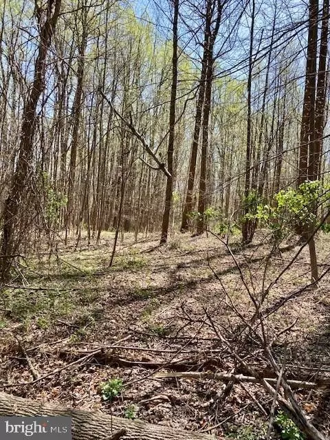 19230 Chandlee Mill Rd, Sandy Spring, MD 20860 photo 2