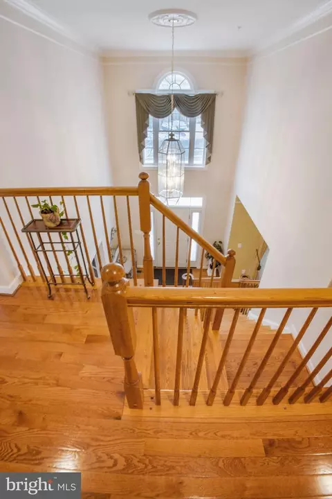 14526 Fairdale Rd, Silver Spring, MD 20905 photo 30