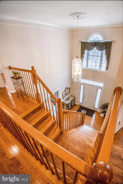 14526 Fairdale Rd, Silver Spring, MD 20905 photo 31
