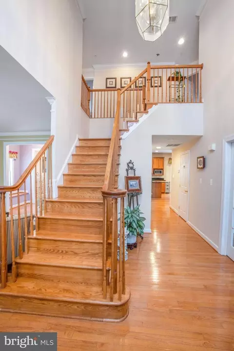 14526 Fairdale Rd, Silver Spring, MD 20905 photo 28