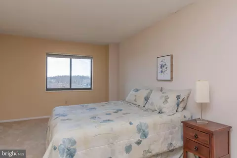 15101 Interlachen Dr #1-1008, Silver Spring, MD 20906 photo 6