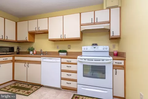 15101 Interlachen Dr #1-1008, Silver Spring, MD 20906 photo 4