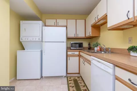 15101 Interlachen Dr #1-1008, Silver Spring, MD 20906 photo 11