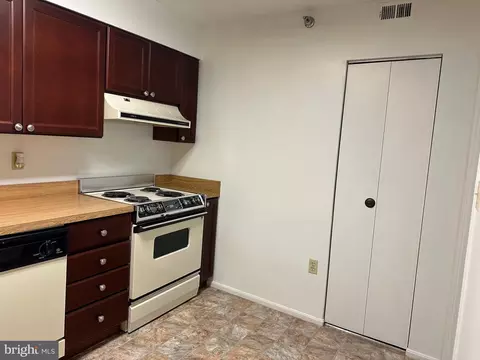 15115 Interlachen Dr #3-206, Silver Spring, MD 20906 photo 14