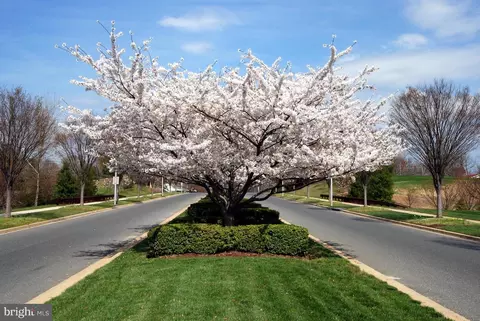 View/Area - 403 Firestone Dr, Ashton, MD 20861 photo 1 of 2