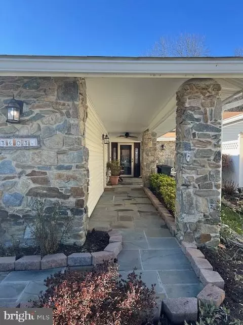 Exterior - 3603 Tarkington Ln #61 B, Silver Spring, MD 20906 photo 2 of 24
