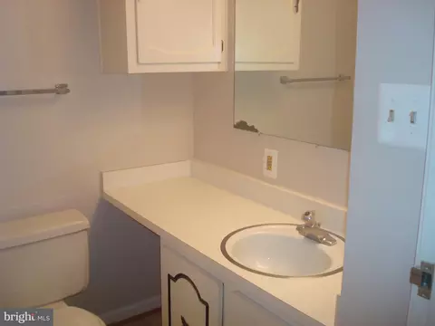 Bath - 2921 N Leisure World Blvd #1-314, Silver Spring, MD 20906 photo 3 of 4