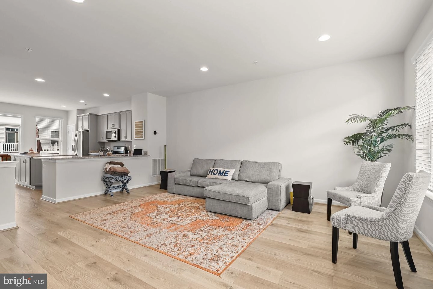 Living - 15713 Steamboat Way, Silver Spring, MD 20906 photo 2 of 4