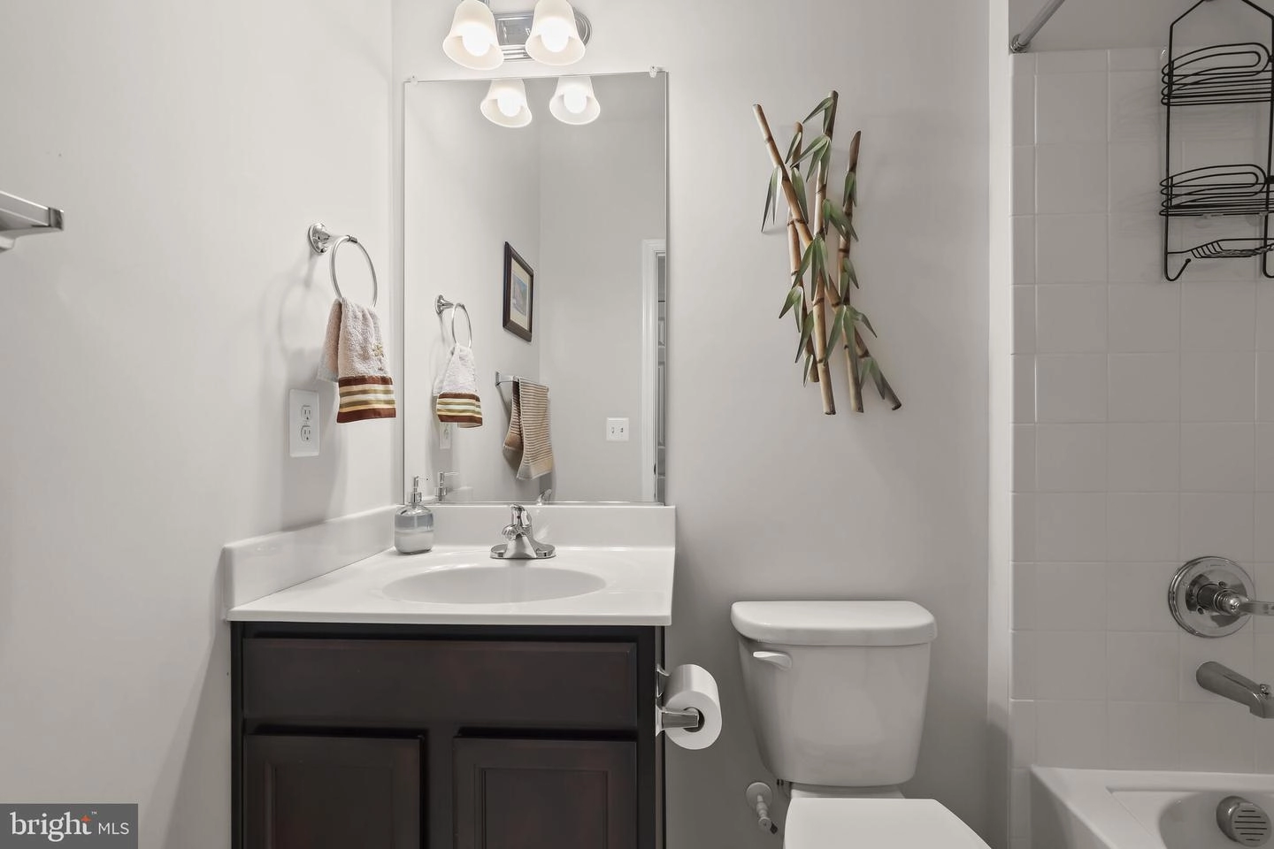 Bath - 15713 Steamboat Way, Silver Spring, MD 20906 photo 5 of 5