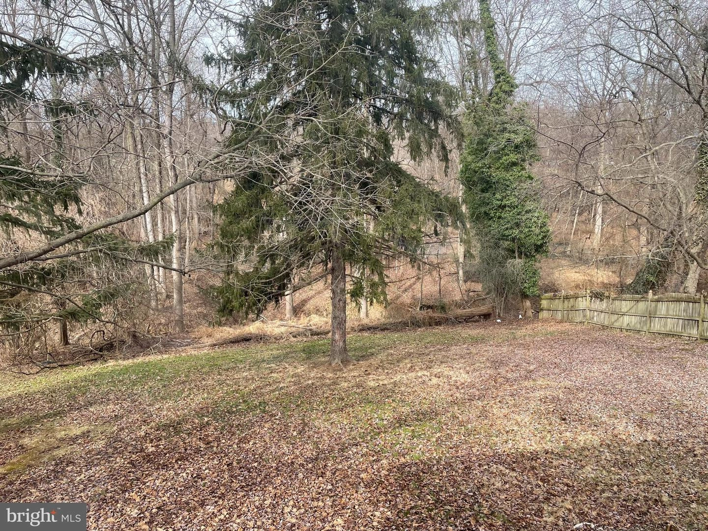 Exterior - 1100 Tanley Rd, Silver Spring, MD 20904 photo 4 of 4