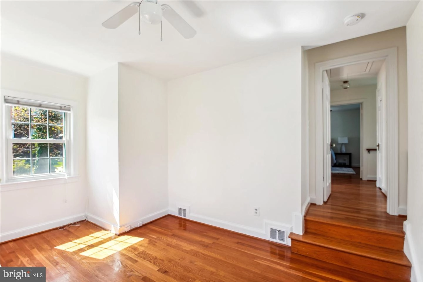 203 Lexington Dr, Silver Spring, MD 20901 photo 21