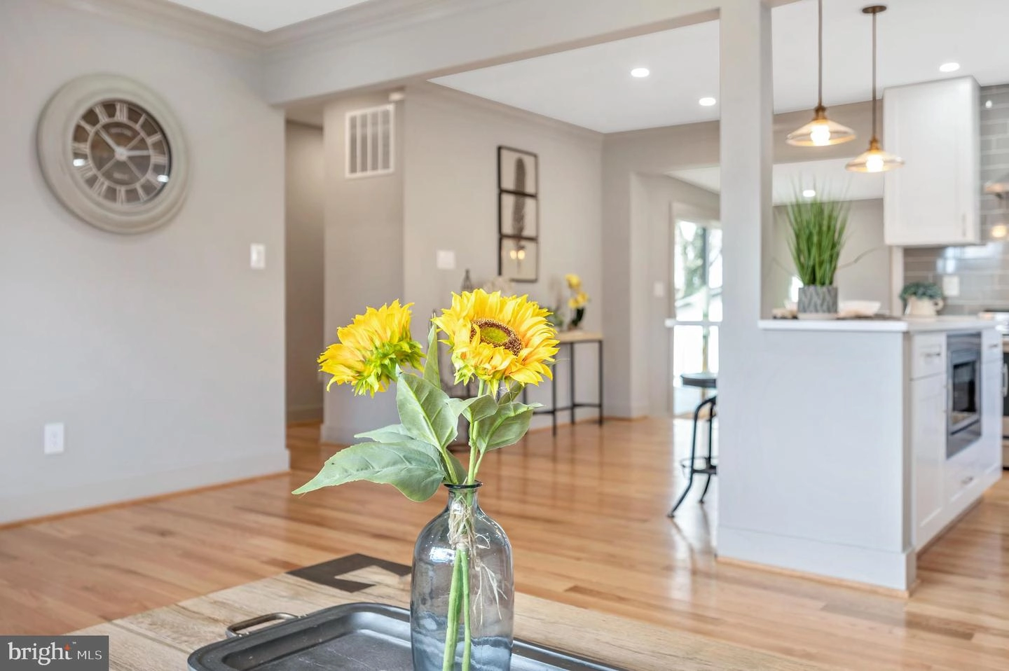 Living - 10104 Renfrew Rd, Silver Spring, MD 20901 photo 5 of 7