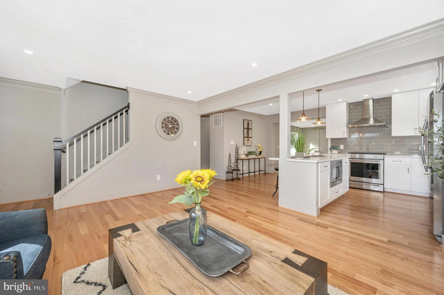 Living - 10104 Renfrew Rd, Silver Spring, MD 20901 photo 1 of 7
