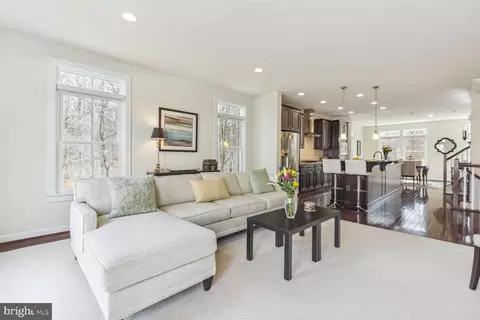 Living - 433 Hydrangea Pl, Gaithersburg, MD 20878 photo 3 of 7