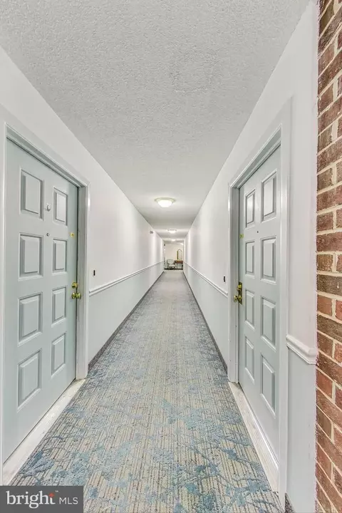 Entry Way - 15311 Pine Orchard Dr #2E, Silver Spring, MD 20906 photo 2 of 2