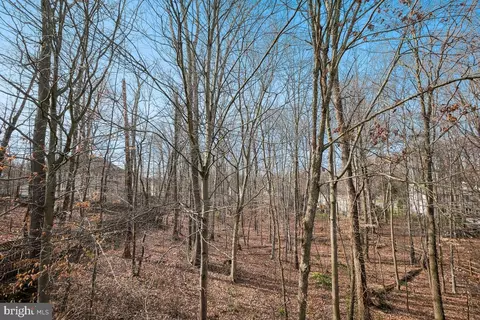 6 Hackett Ct, Poolesville, MD 20837 photo 49