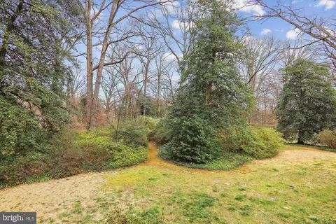 Exterior - 10609 Greenacres Dr, Silver Spring, MD 20903 photo 16 of 22