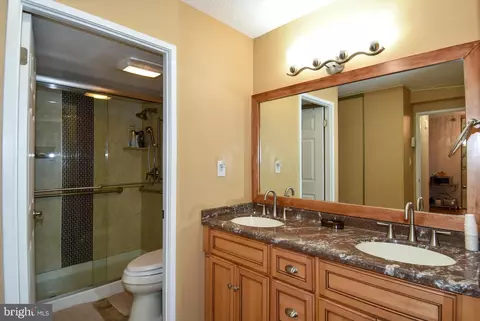 15100 Interlachen Dr #809, Silver Spring, MD 20906 photo 22