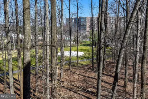 15100 Interlachen Dr #406, Silver Spring, MD 20906 photo 6