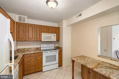 15101 Interlachen Dr #623, Silver Spring, MD 20906 photo 12