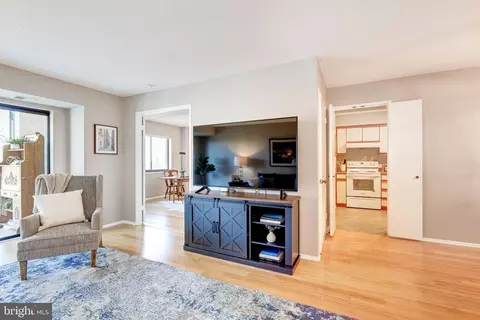 Living - 15100 Interlachen Dr #522, Silver Spring, MD 20906 photo 4 of 4