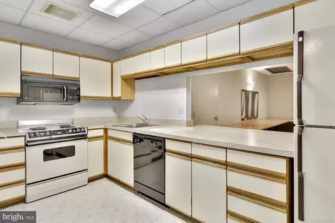 15100 Interlachen Dr #4-710, Silver Spring, MD 20906 photo 29