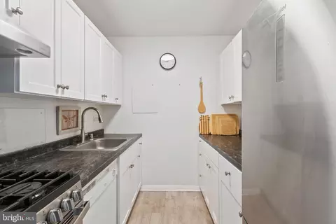 1900 Lyttonsville Rd #1203, Silver Spring, MD 20910 photo 13