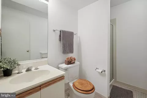 Bath - 2046 Derby Ridge Ln #3-9, Silver Spring, MD 20910 photo 4 of 4