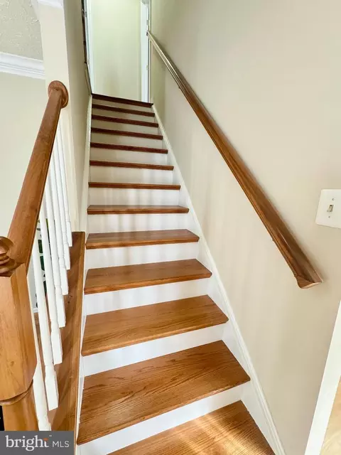 Entry Way - 213 Amberleigh Dr, Silver Spring, MD 20905 photo 3 of 5