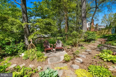 409 Hamilton Ave, Silver Spring, MD 20901 photo 45