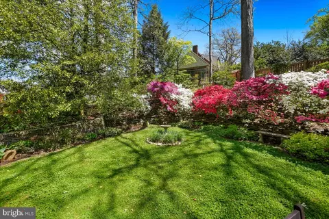 409 Hamilton Ave, Silver Spring, MD 20901 photo 42