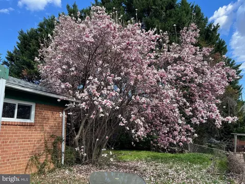 1207 Ballard St, Silver Spring, MD 20910 photo 61