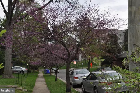 1207 Ballard St, Silver Spring, MD 20910 photo 65