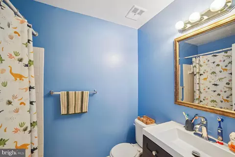 Bath - 13101 Conductor Way #233, Silver Spring, MD 20904 photo 1 of 2