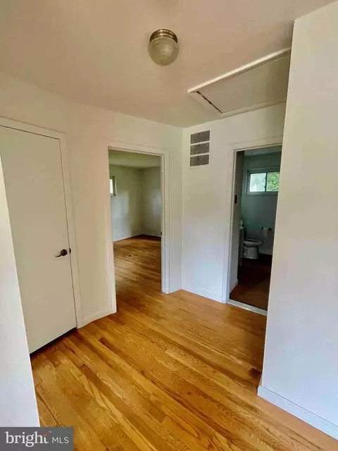3723 Ralph Rd, Silver Spring, MD 20906 photo 10