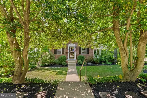 252 Whitmoor Ter, Silver Spring, MD 20901 photo 4