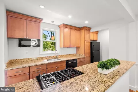 252 Whitmoor Ter, Silver Spring, MD 20901 photo 9