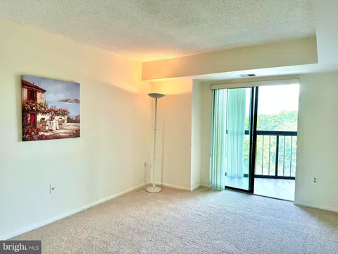 15101 Interlachen Dr #1-903, Silver Spring, MD 20906 photo 27