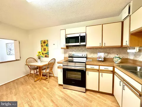 15101 Interlachen Dr #1-903, Silver Spring, MD 20906 photo 18