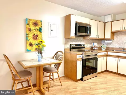 15101 Interlachen Dr #1-903, Silver Spring, MD 20906 photo 20