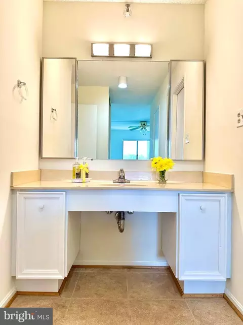 15101 Interlachen Dr #1-903, Silver Spring, MD 20906 photo 25