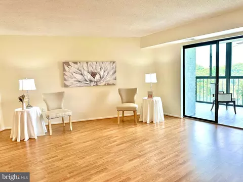 15101 Interlachen Dr #1-903, Silver Spring, MD 20906 photo 4